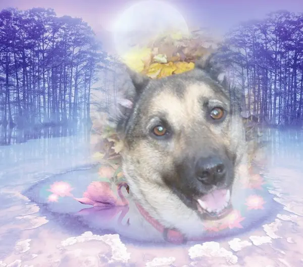 Condolence image of ❤️❤️❤️