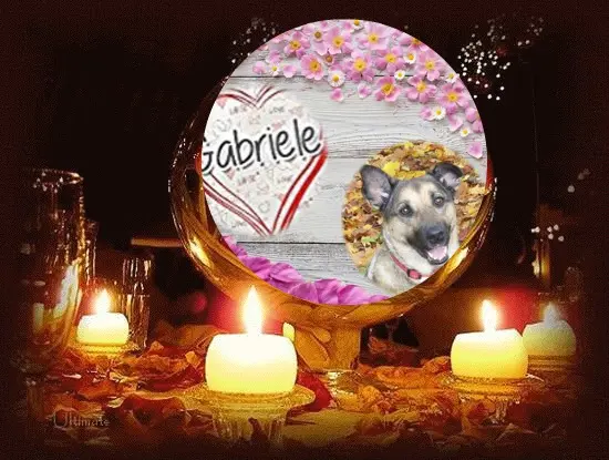 Condolence image of ❤️❤️❤️