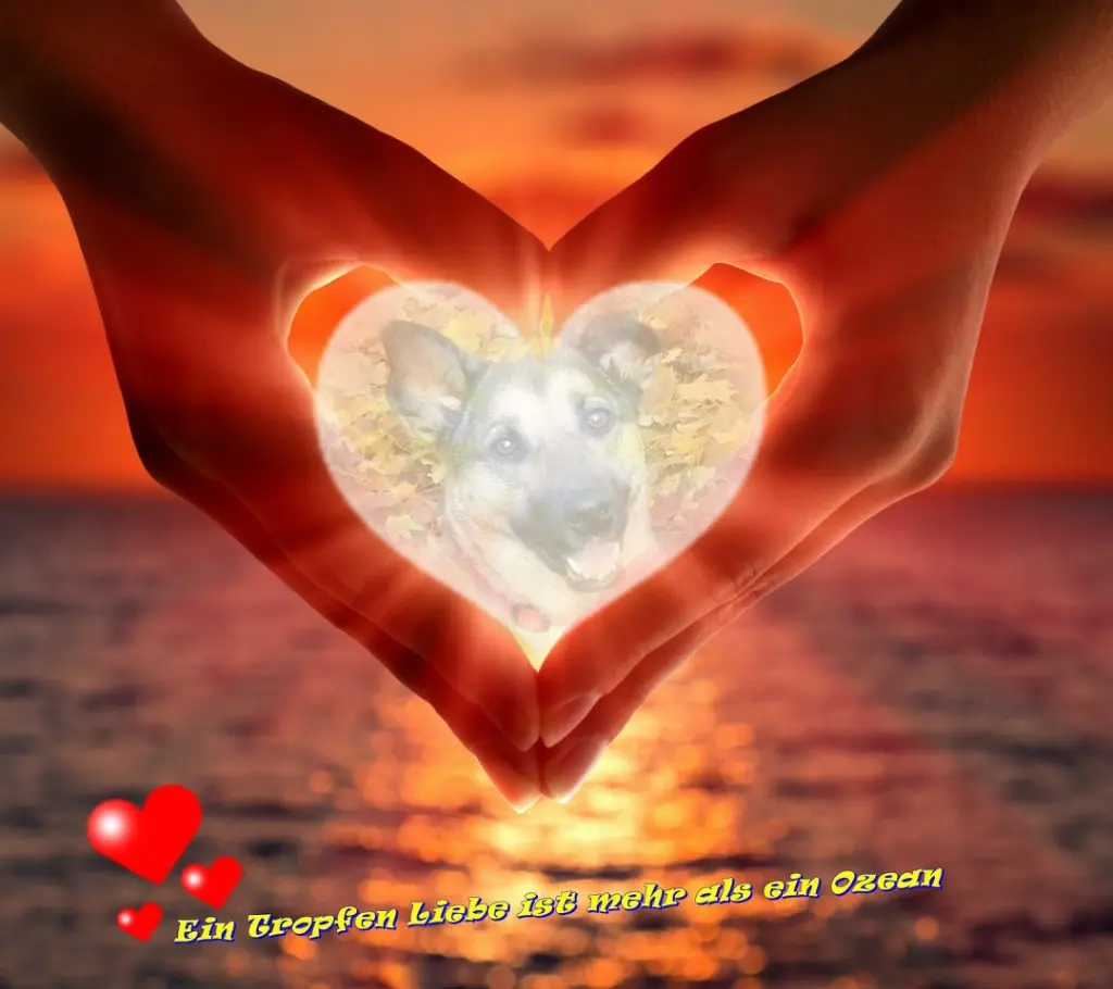 Condolence image of ❤️❤️❤️