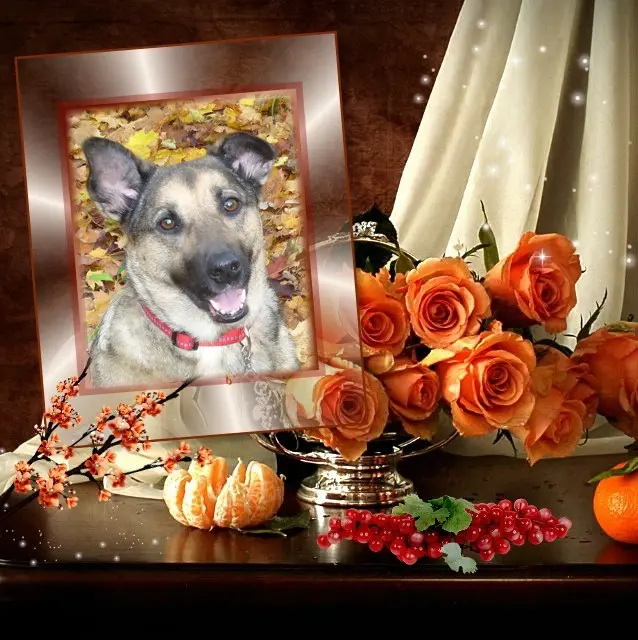 Condolence image of ❤️❤️❤️