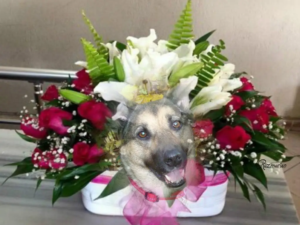 Condolence image of ❤️❤️❤️