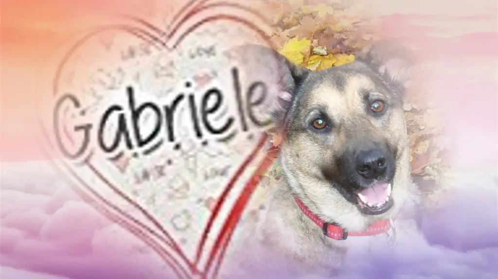 Condolence image of ❤️❤️❤️