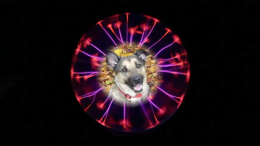 Condolence image of ❤️❤️❤️