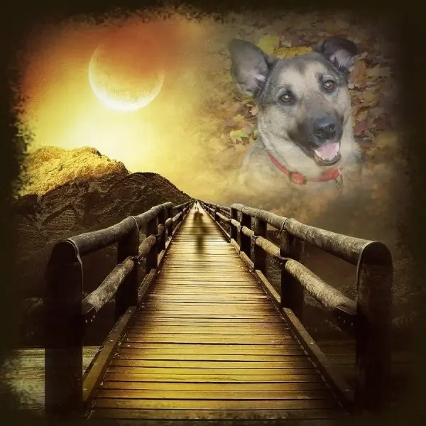 Condolence image of ❤️❤️❤️