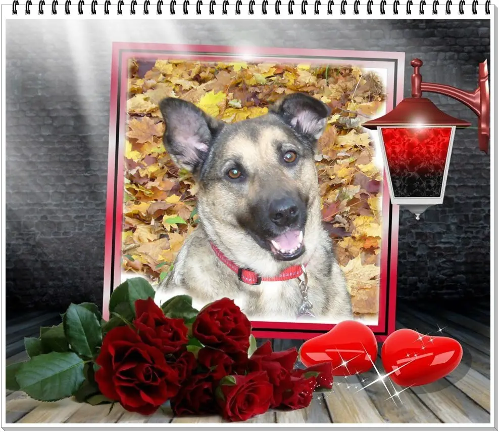 Condolence image of ❤️❤️❤️