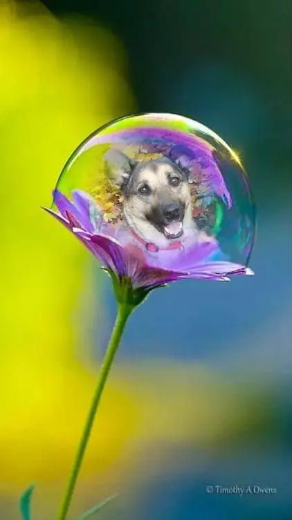 Condolence image of ❤️❤️❤️