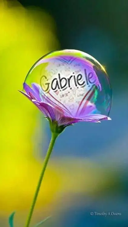 Condolence image of ❤️❤️❤️