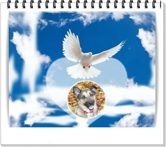 Condolence image of ❤️❤️❤️