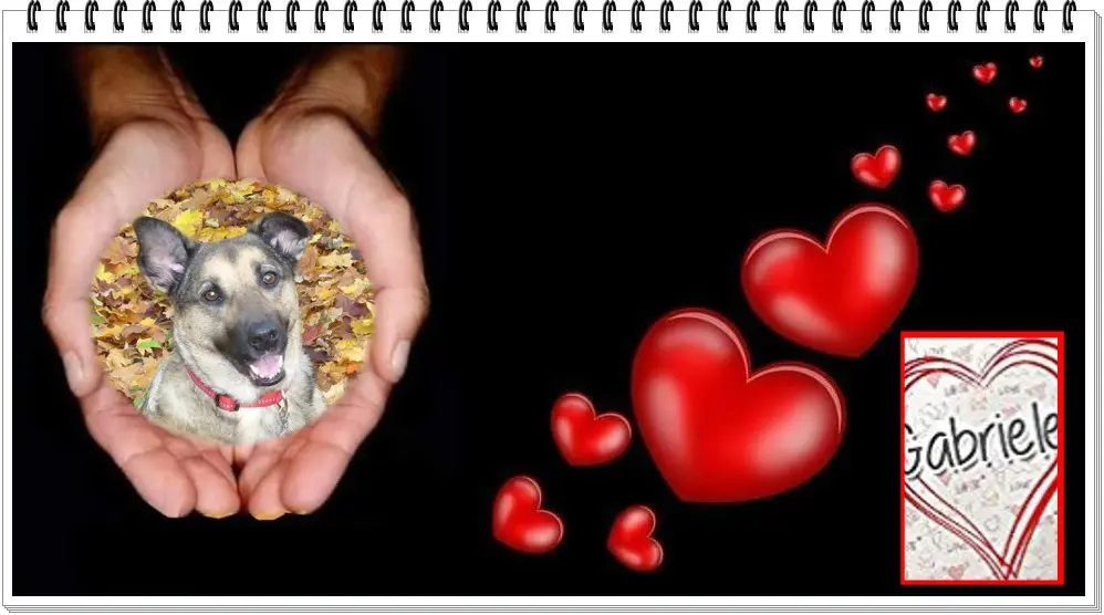 Condolence image of ❤️❤️❤️