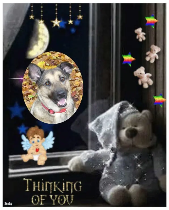 Condolence image of ❤️❤️❤️