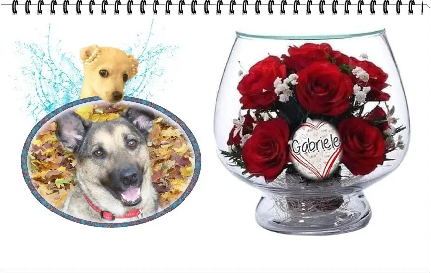 Condolence image of ❤️❤️❤️