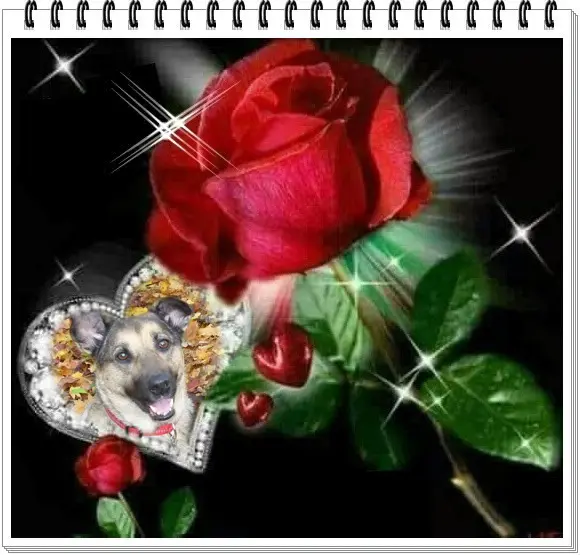 Condolence image of ❤️❤️❤️