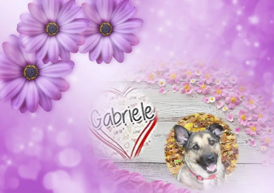 Condolence image of ❤️❤️❤️