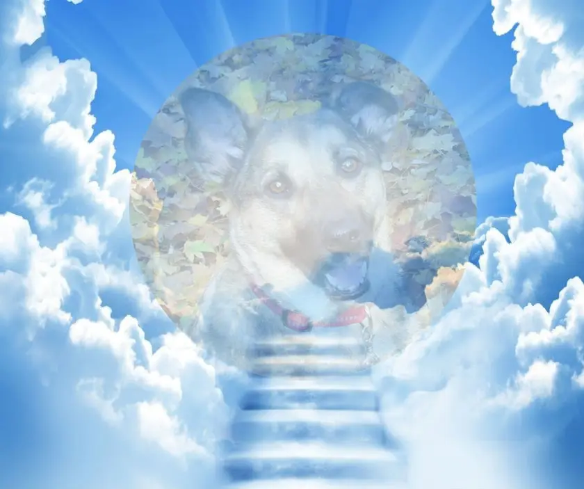 Condolence image of ❤️❤️❤️