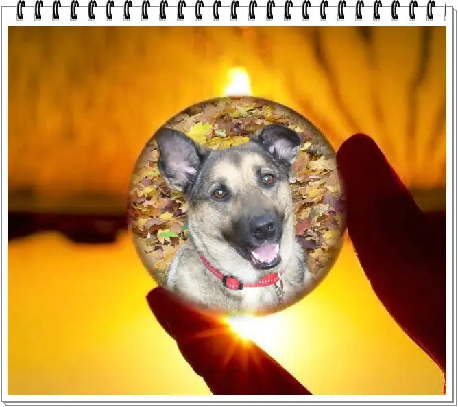 Condolence image of ❤️❤️❤️