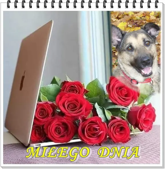 Condolence image of ❤️❤️❤️