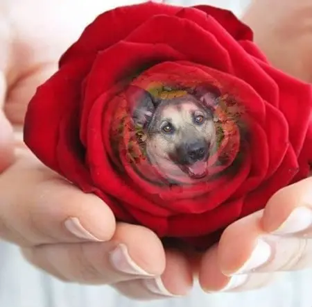 Condolence image of ❤️❤️❤️