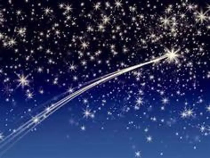 Condolence image of Uschi mit Seelenkatzen Jojo und Merlin