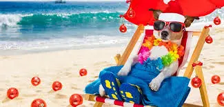 Condolence image of Brigitte mit Nelly, Benny und Axel im Herzen