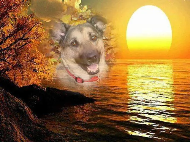 Condolence image of ❤️❤️❤️