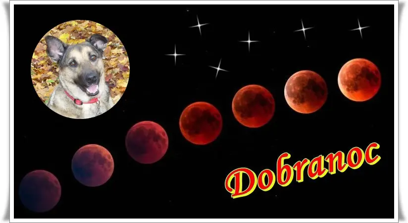 Condolence image of ❤️❤️❤️