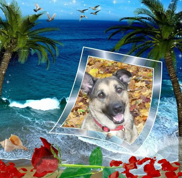 Condolence image of ❤️❤️❤️