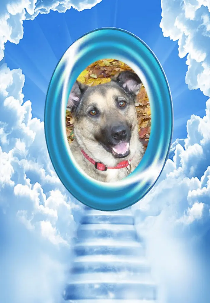 Condolence image of ❤️❤️❤️