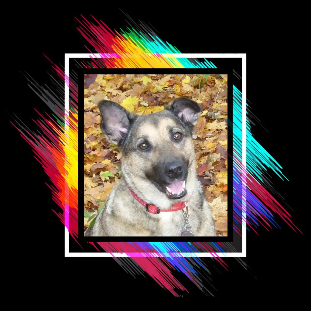 Condolence image of ❤️❤️❤️