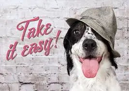 Condolence image of Brigitte mit Nelly, Benny und Axel im Herzen