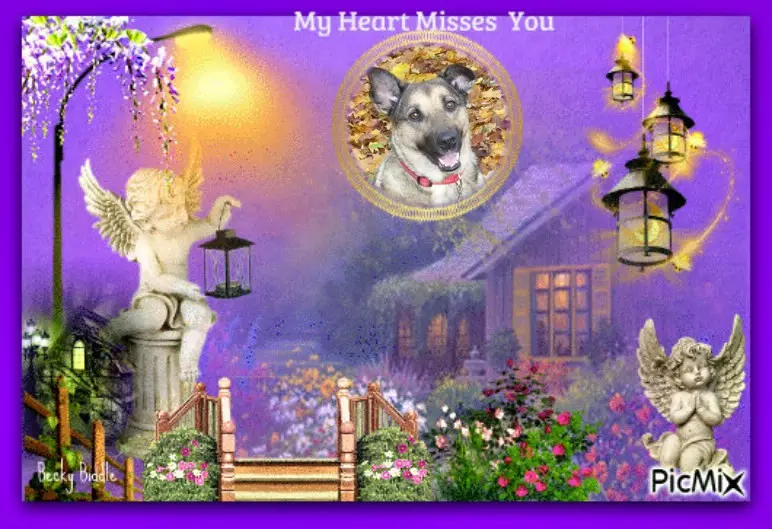 Condolence image of ❤️❤️❤️