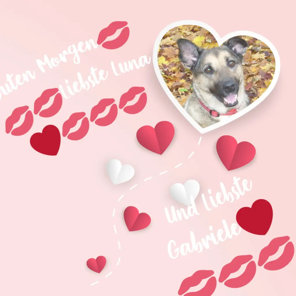 Condolence image of ❤️❤️❤️