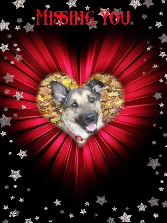 Condolence image of ❤️❤️❤️