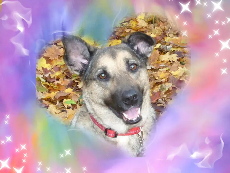 Condolence image of ❤️❤️❤️