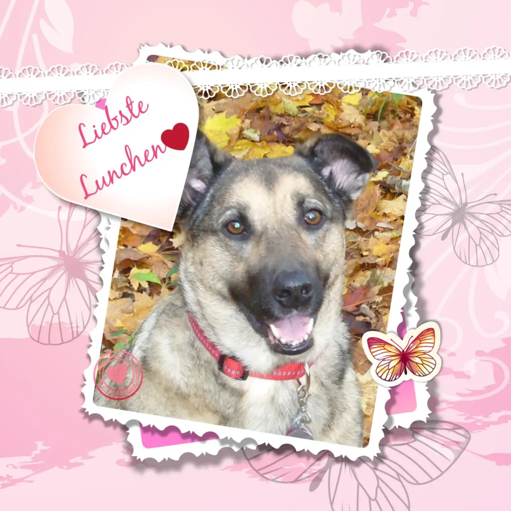 Condolence image of ❤️❤️❤️