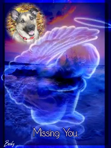 Condolence image of ❤️❤️❤️