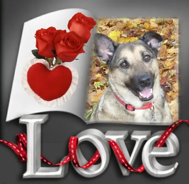 Condolence image of ❤️❤️❤️