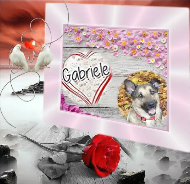 Condolence image of ❤️❤️❤️