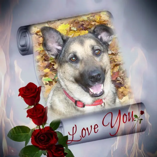 Condolence image of ❤️❤️❤️