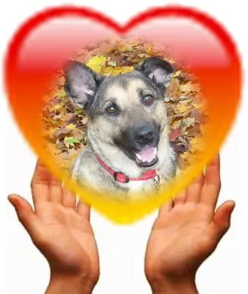 Condolence image of ❤️❤️❤️