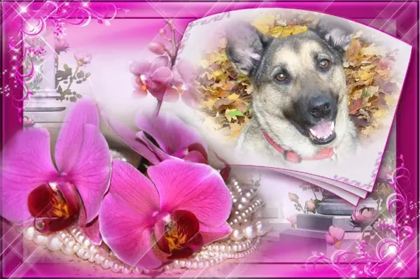 Condolence image of ❤️❤️❤️