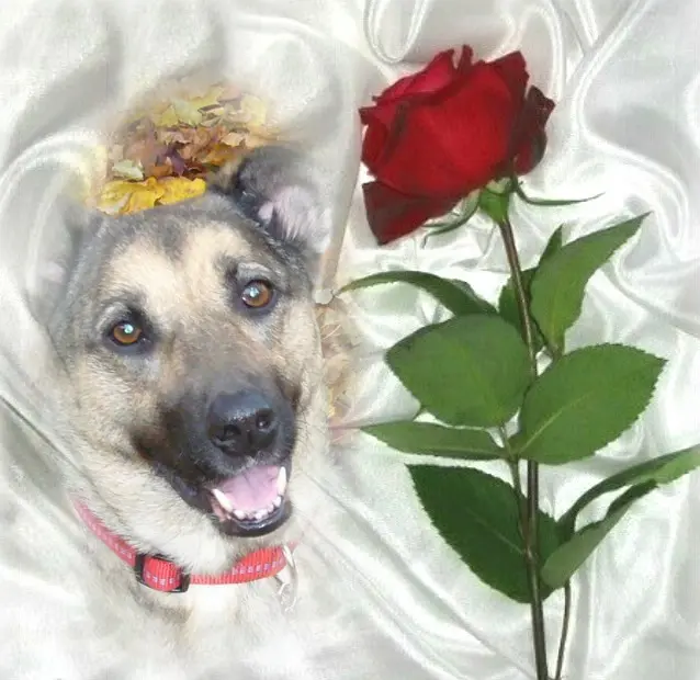 Condolence image of ❤️❤️❤️