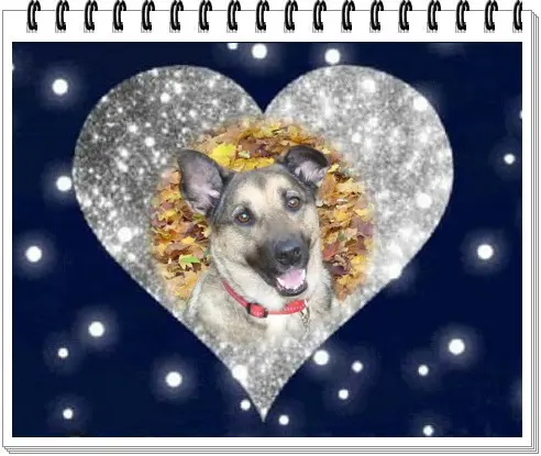 Condolence image of ❤️❤️❤️