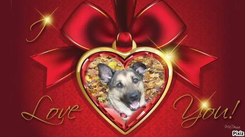 Condolence image of ❤️❤️❤️