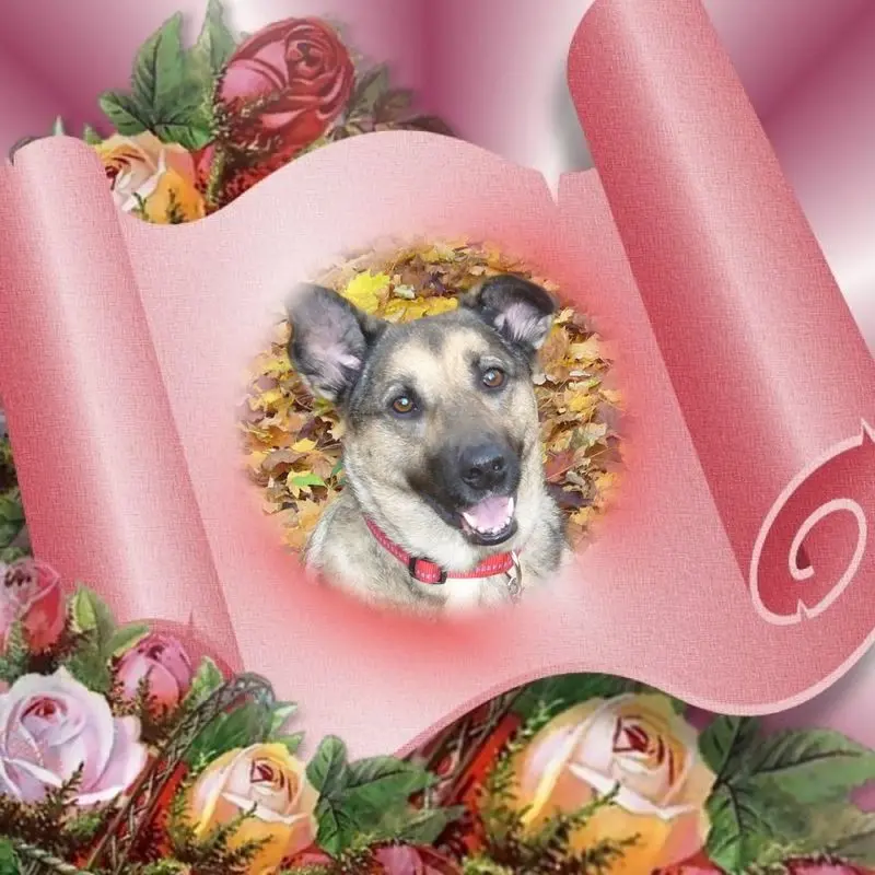 Condolence image of ❤️❤️❤️