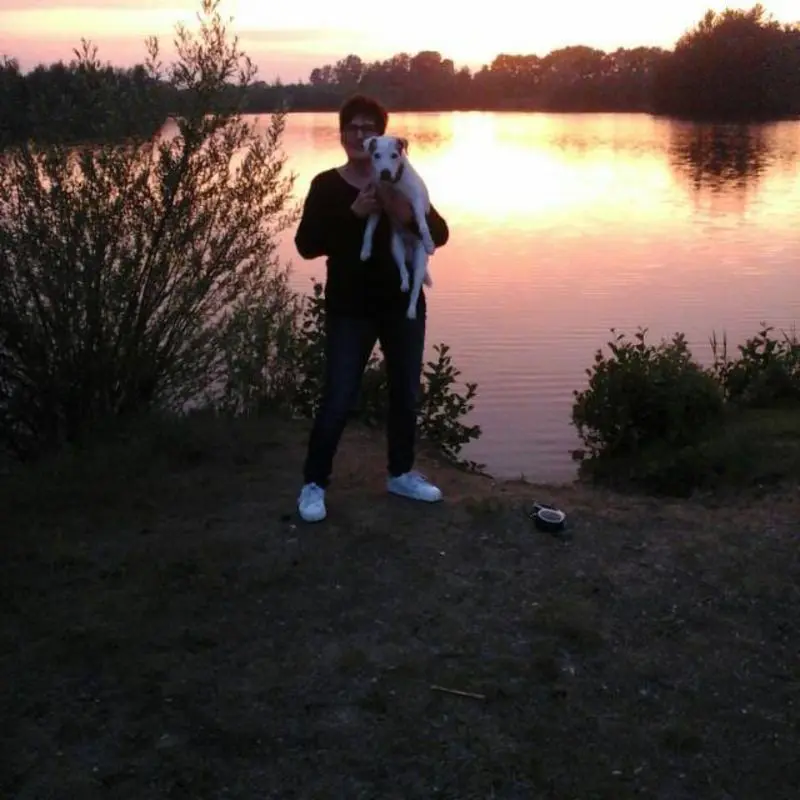 Condolence image of Kerstin mit Gismo im Herzen 