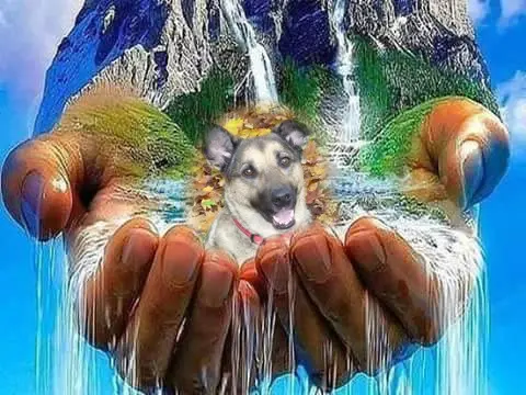 Condolence image of ❤️❤️❤️❤️❤️❤️❤️❤️❤️❤️❤️❤️