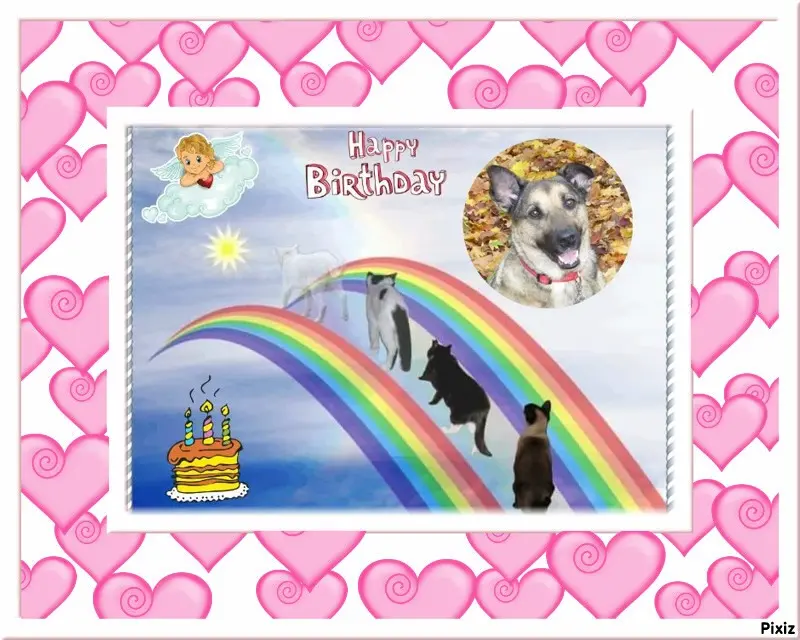 Condolence image of 17. Geburtstag❤️Unsere Liebste❤️❤️❤️❤️❤️❤️Lunchen❤️⭐️