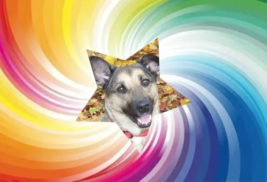 Condolence image of Fur Lunchen❤️⭐️🐕🫶🫶🫶💋💋💋und Gabs❤️⭐️🐕🫶🫶🫶💋💋💋