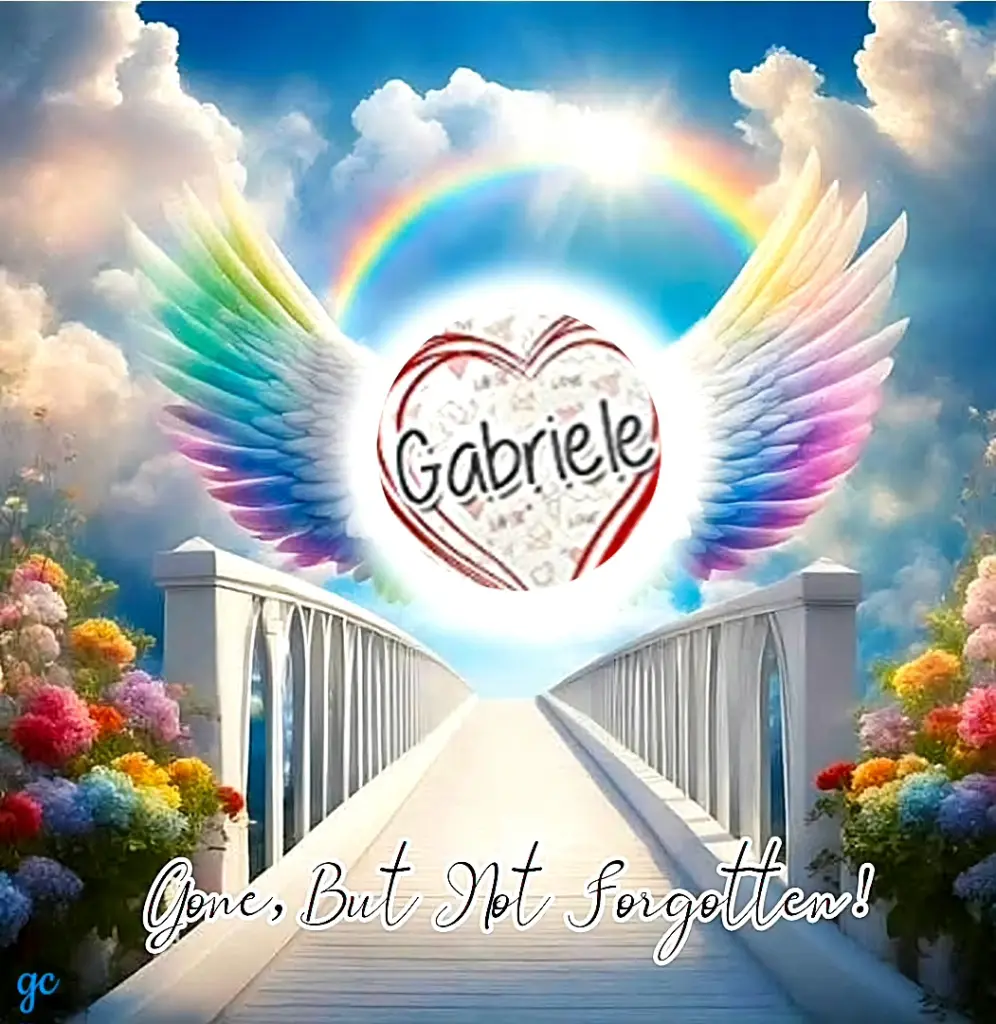 Condolence image of 7.Jahre....Ohne Dich❤️⭐️...😪😪😪