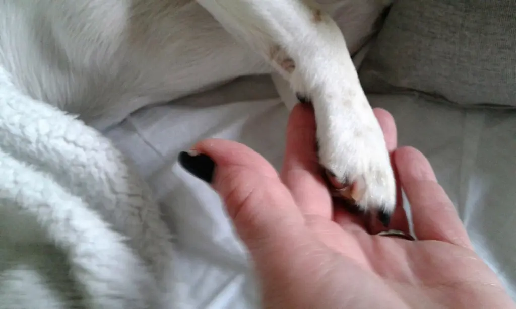 Condolence image of Unbekannt